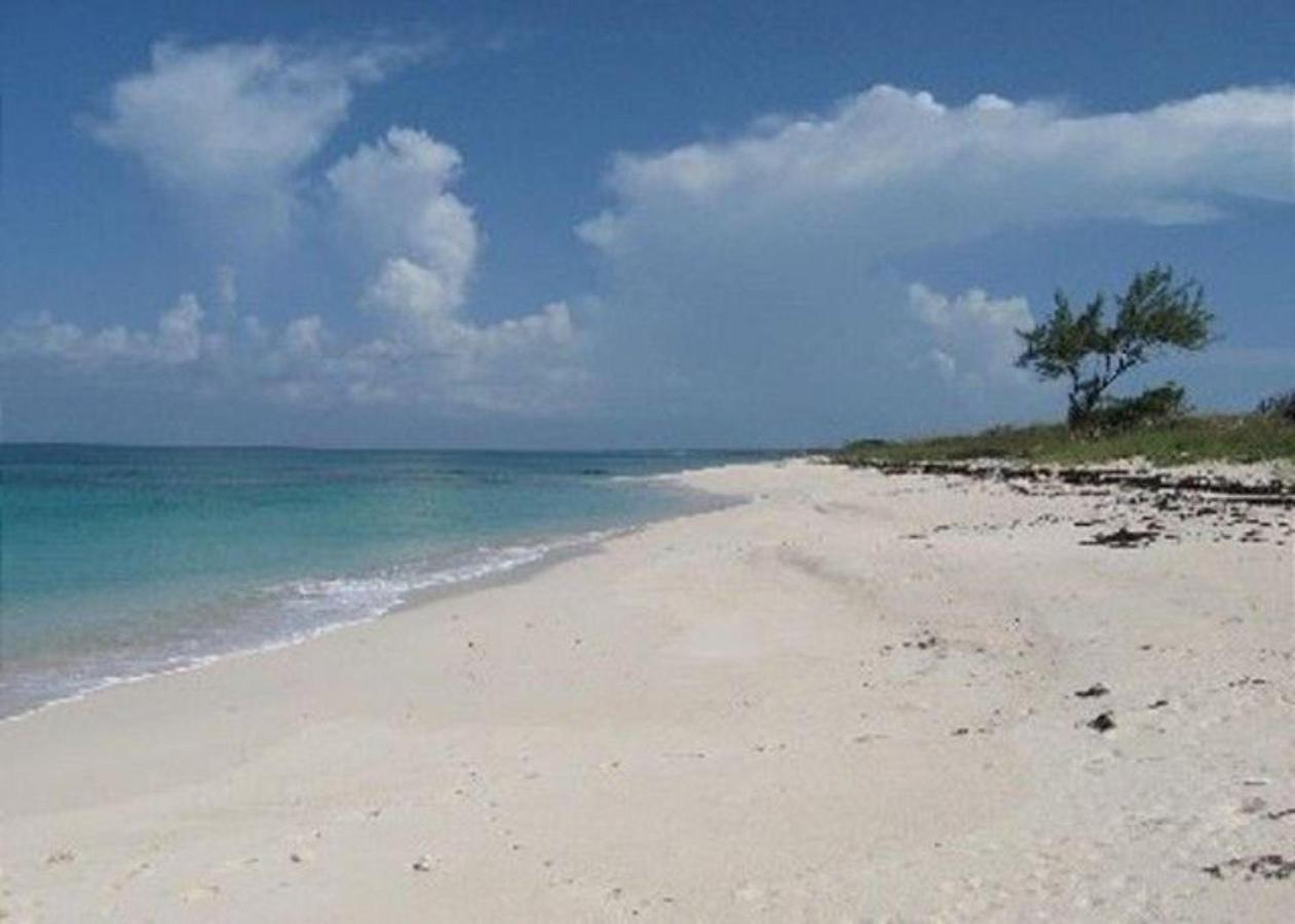 Buttonwood Reserve By Eleuthera Vacation Rentals Governor's Harbour Ngoại thất bức ảnh